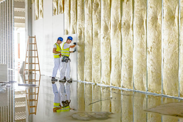 Best Types of Insulation in Byron, CA